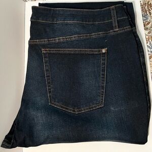 Plus Size Jennifer Lopez Boyfriend Jean, 24W